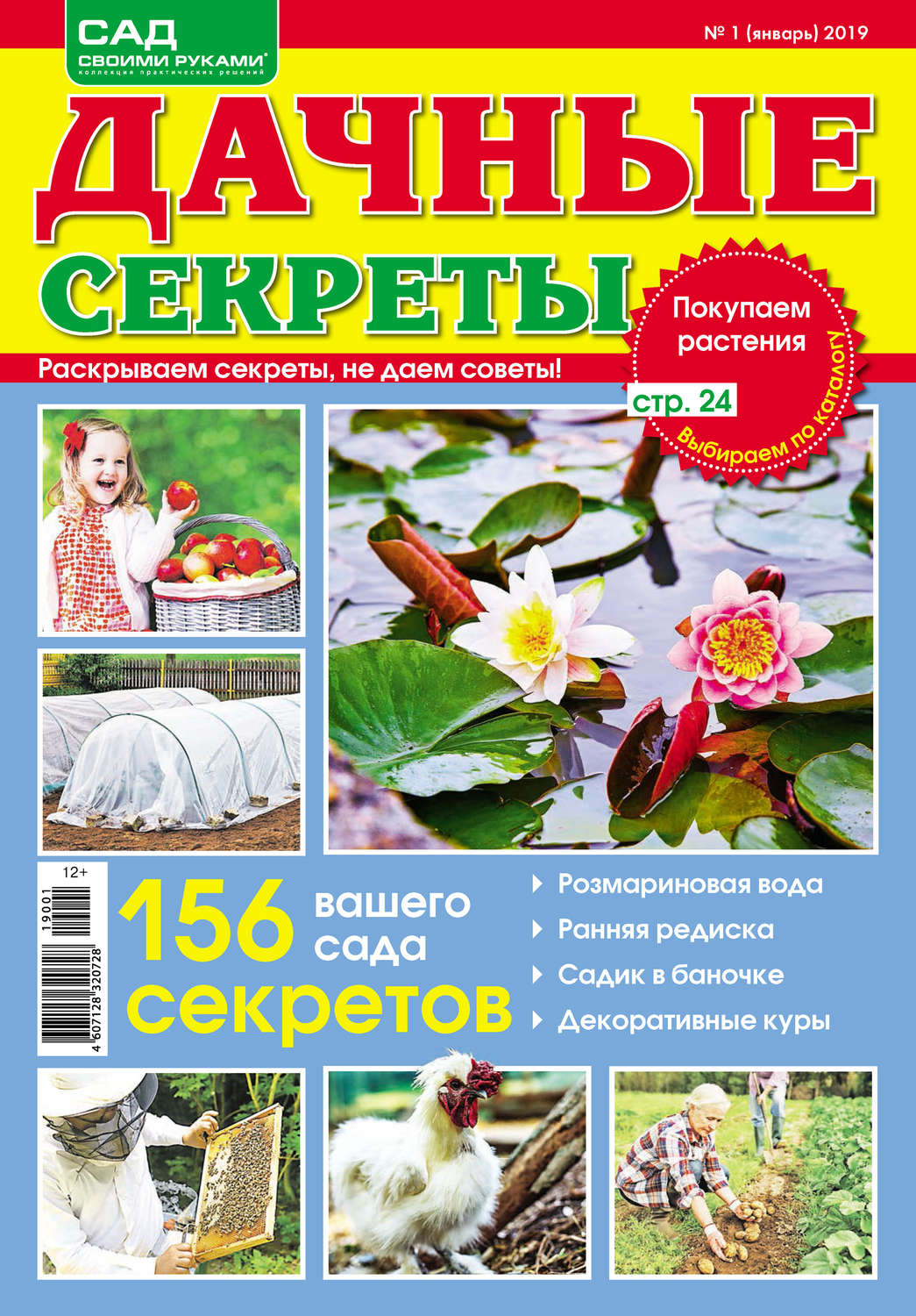 Обложка книги «Сад своими руками. Дачные секреты №01/2019»