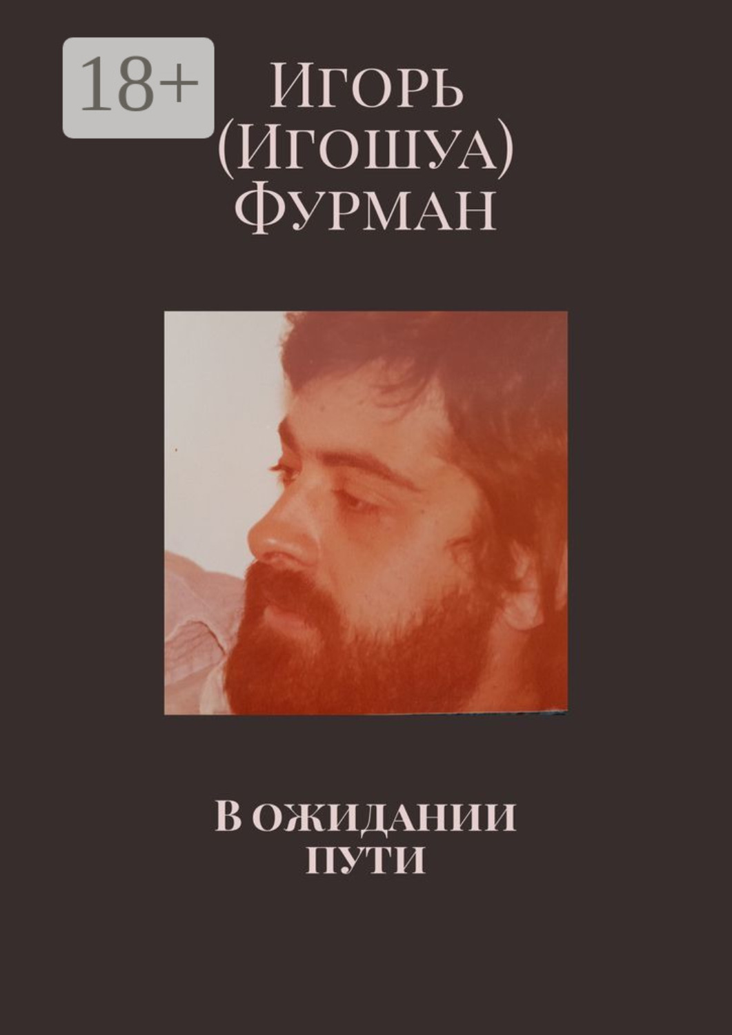 Обложка книги «В ожидании пути»