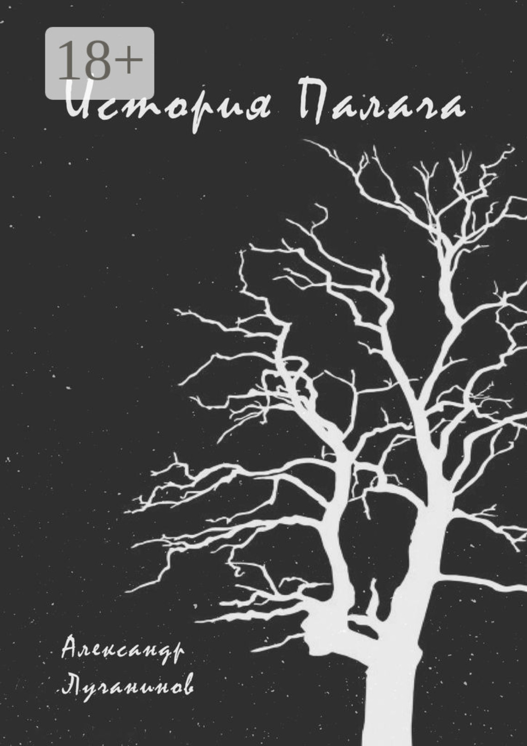 Обложка книги «История Палача»