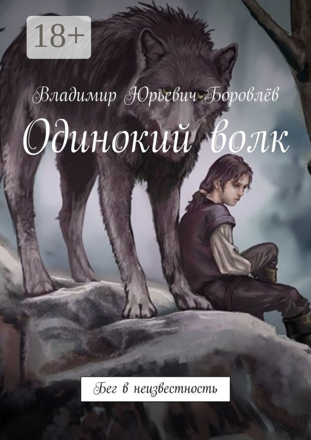 Обложка книги «Одинокий волк. Бег в неизвестность»