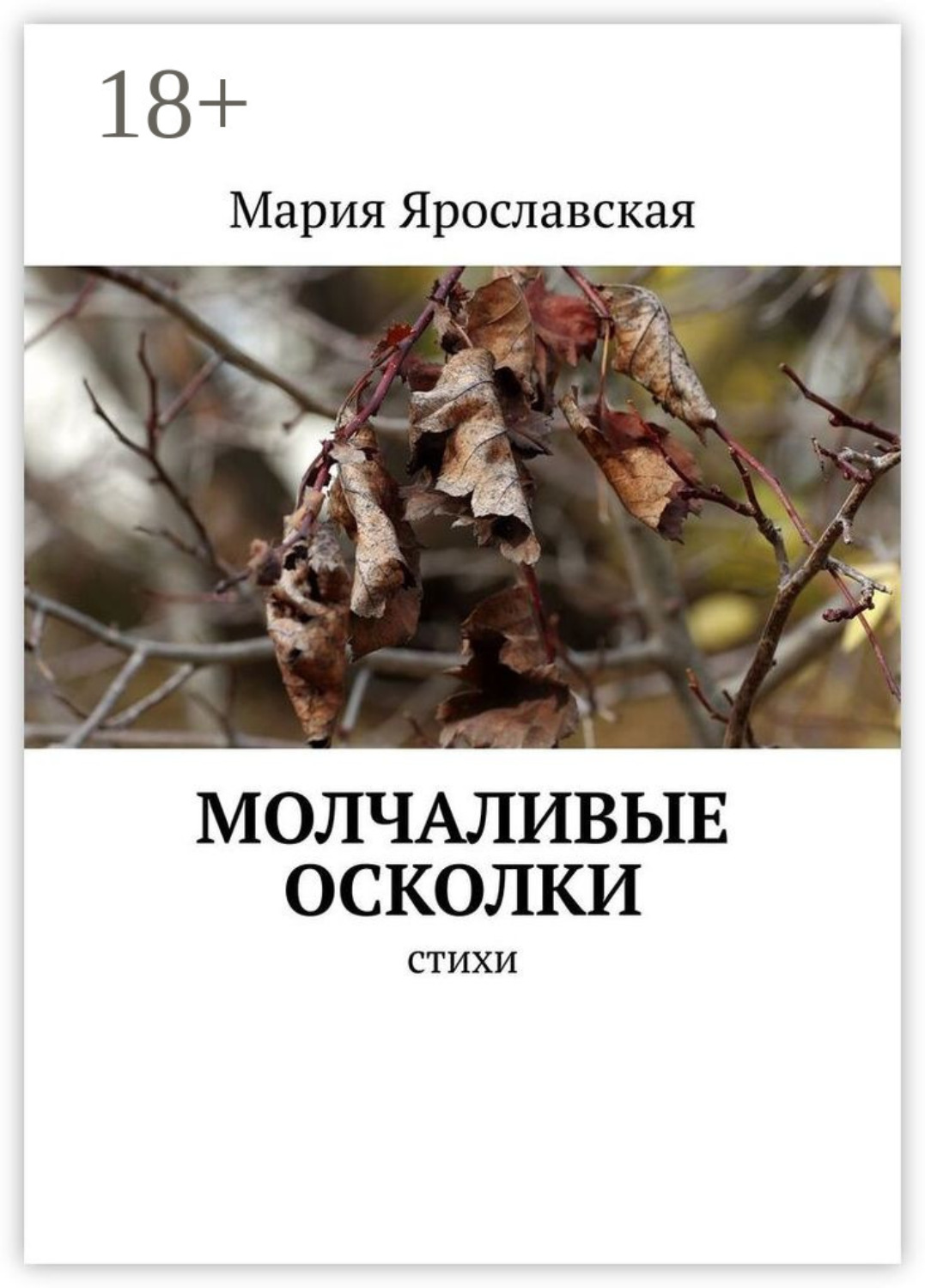 Обложка книги «Молчаливые осколки. Стихи»