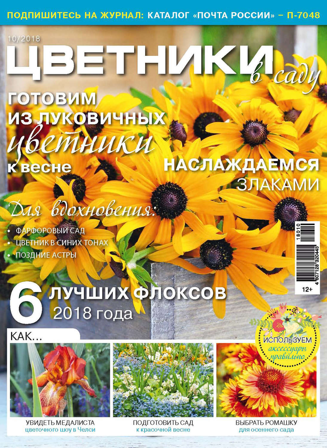 Обложка книги «Цветники в саду №10/2018»