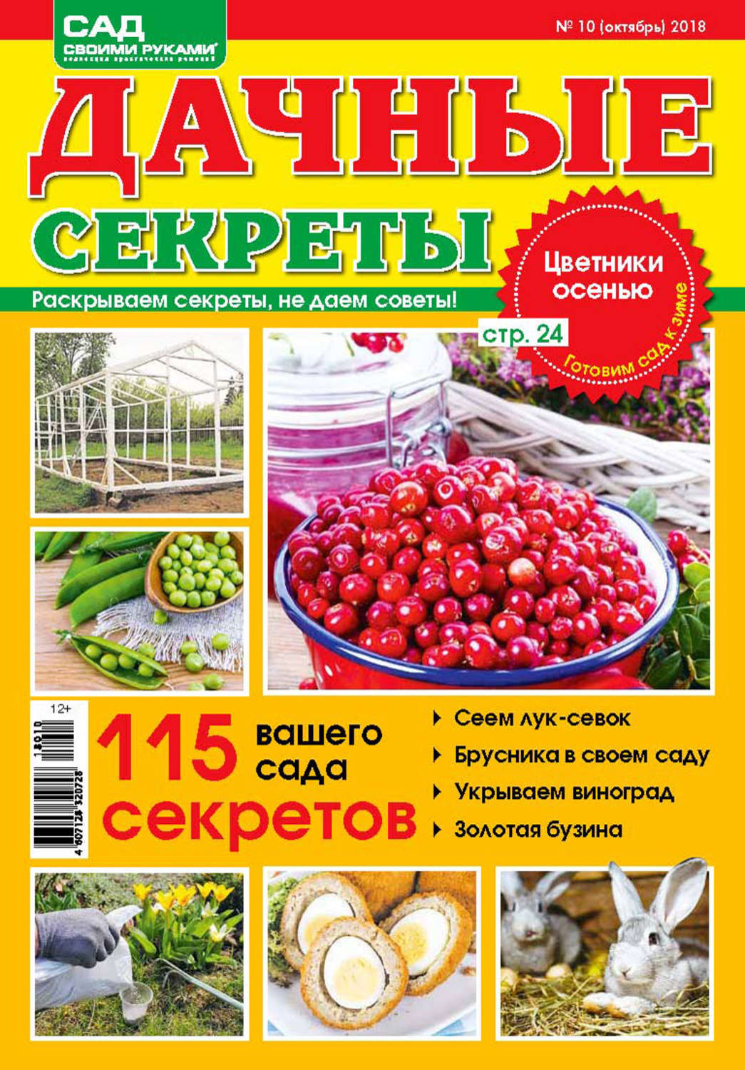 Обложка книги «Сад своими руками. Дачные секреты №10/2018»