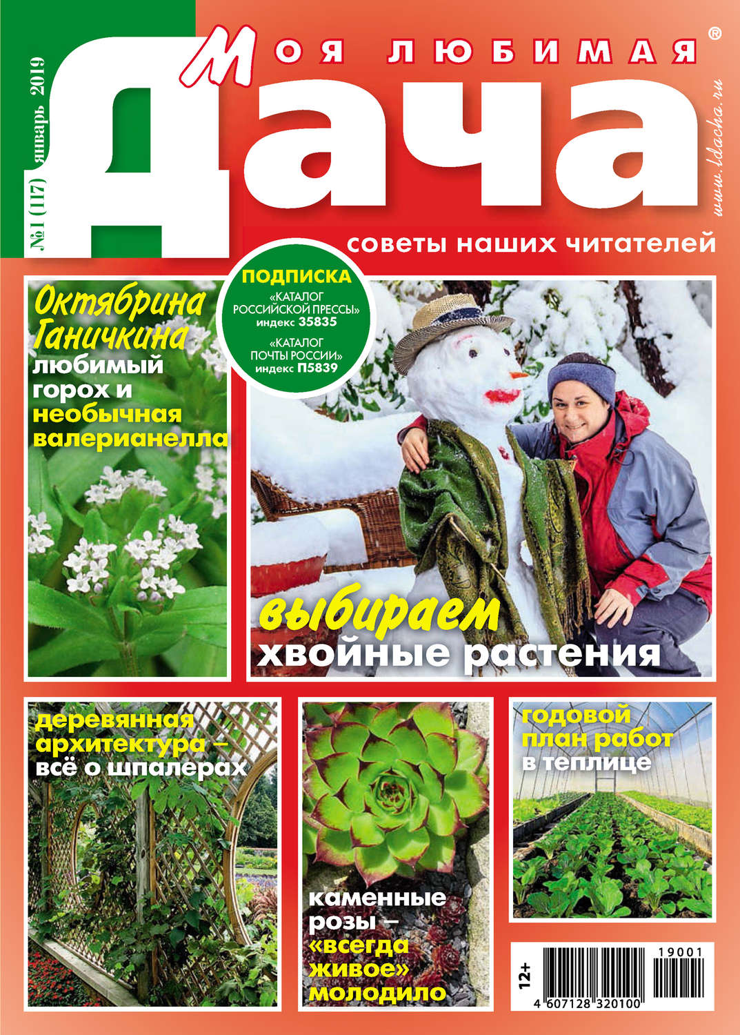 Обложка книги «Моя любимая дача №01/2019»