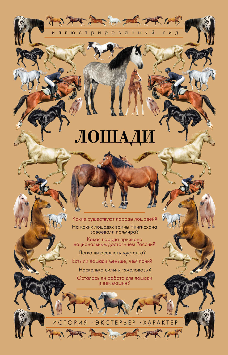 Обложка книги «Лошади. Иллюстрированный гид»