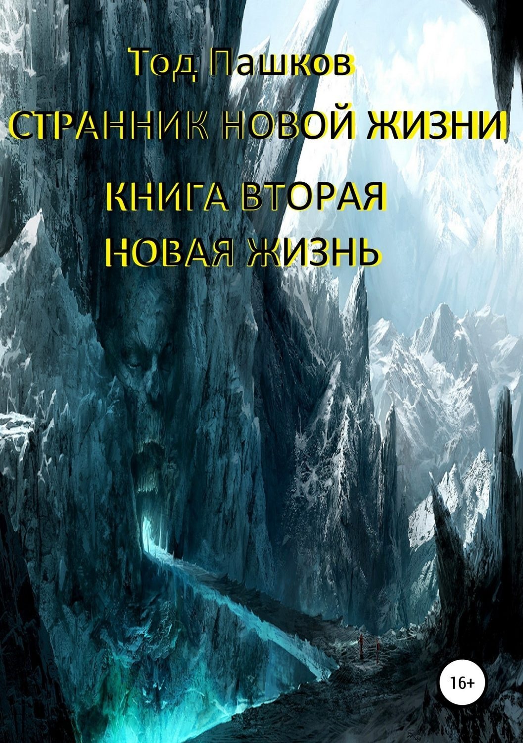 Обложка книги «Странник новой жизни. Книга вторая. Новая жизнь»