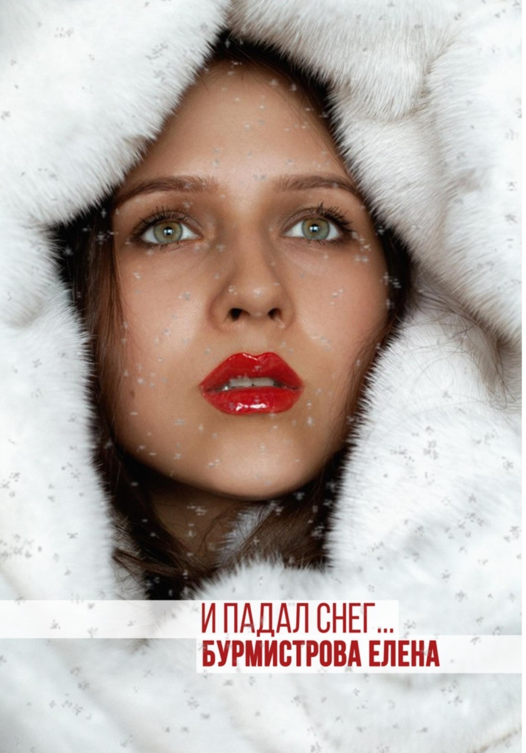 Обложка книги «И падал снег»
