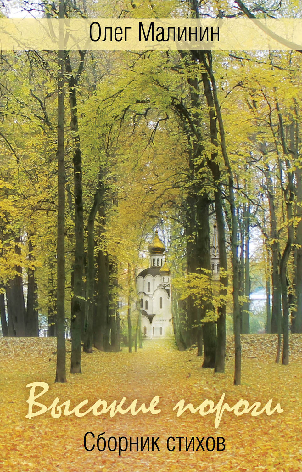 Обложка книги «Высокие пороги. Сборник стихов»