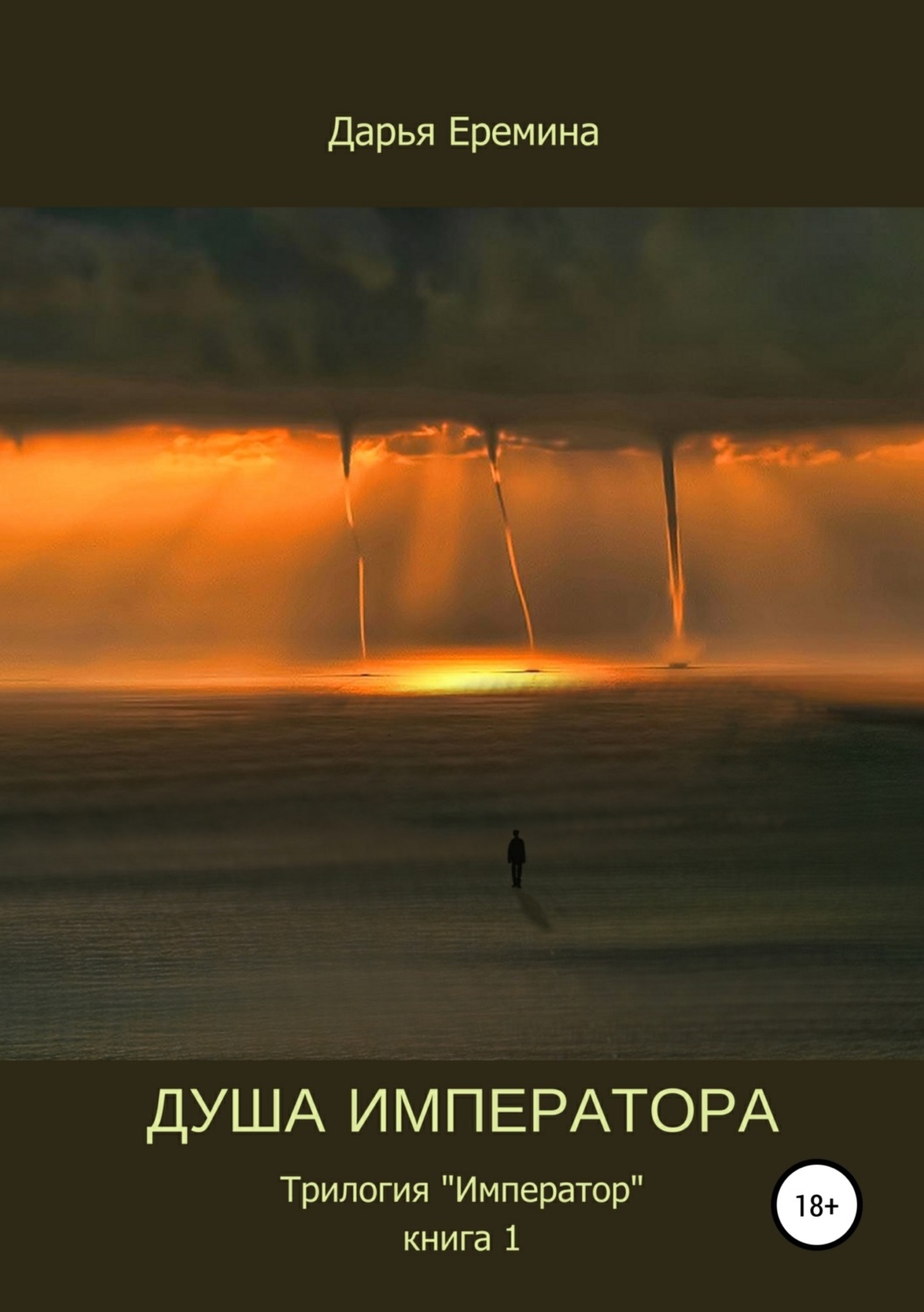 Обложка книги «Душа императора. Книга 1»