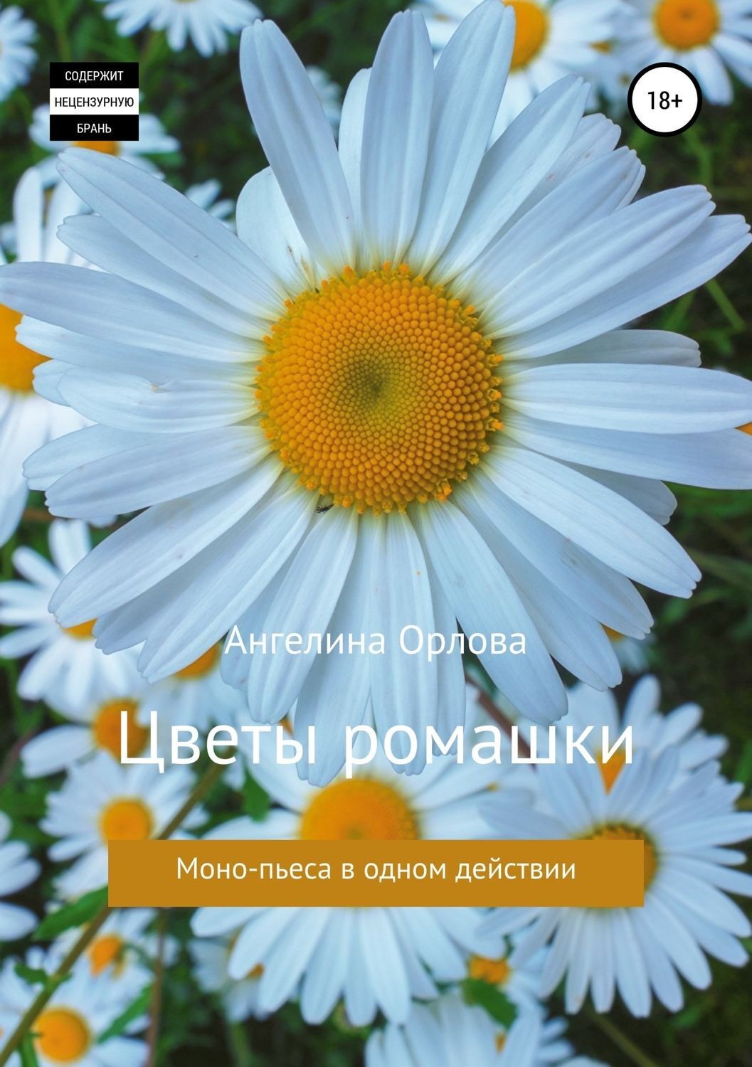 Обложка книги «Цветы ромашки»