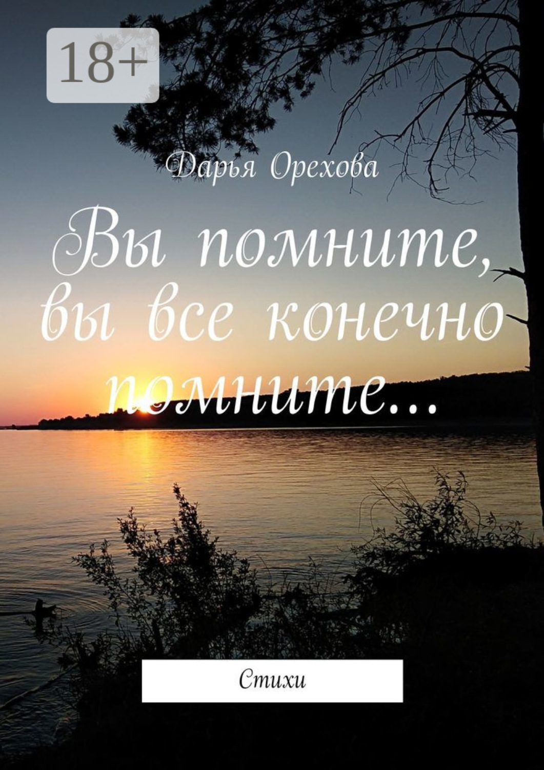 Обложка книги «Вы помните, вы все конечно помните… Стихи»