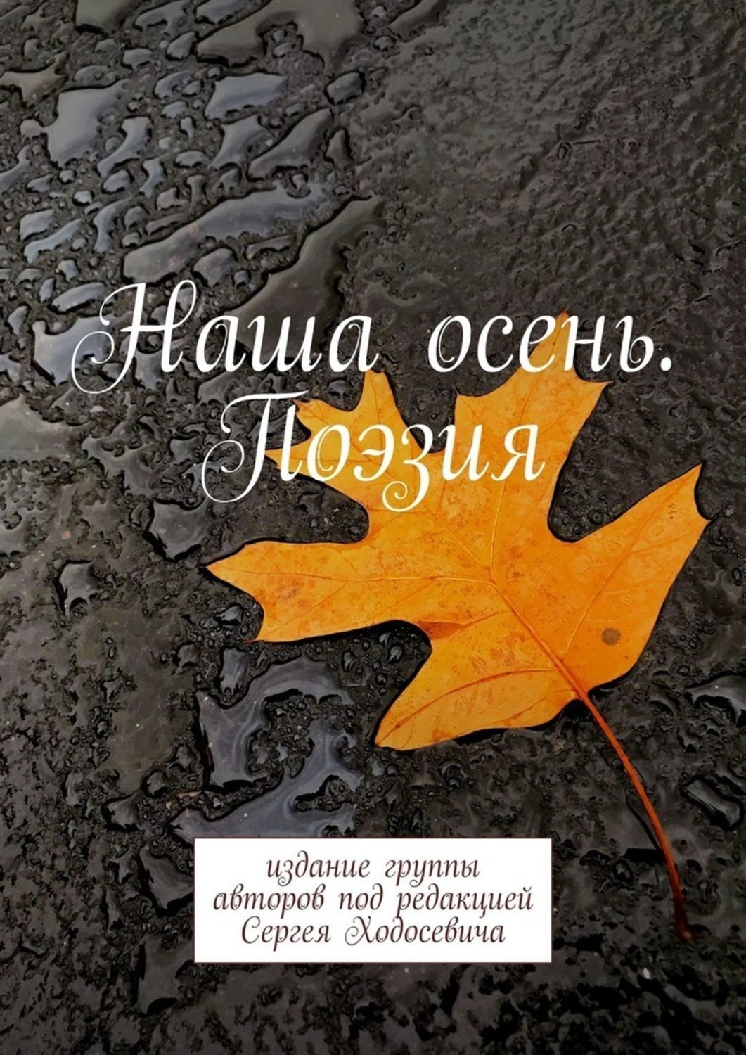 Обложка книги «Наша осень. Поэзия. Издание группы авторов под редакцией Сергея Ходосевича»