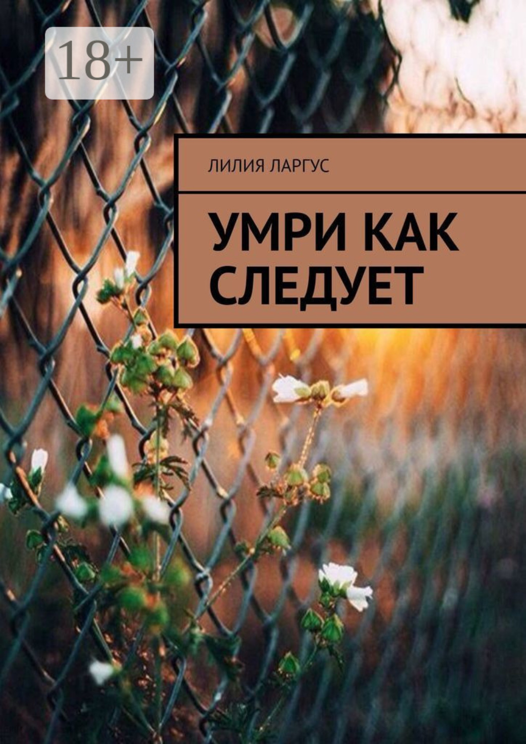 Обложка книги «Умри как следует»