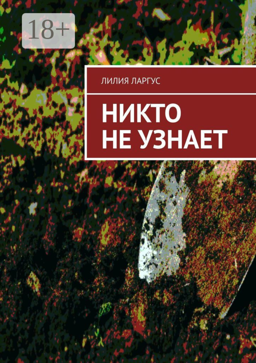 Обложка книги «Никто не узнает»