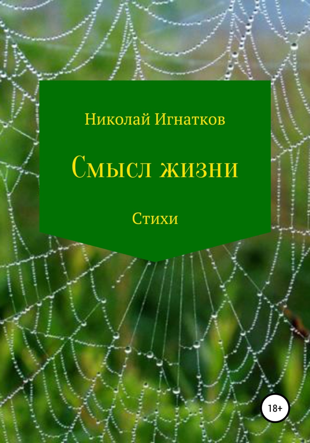 Обложка книги «Смысл жизни. Сборник стихотворений»