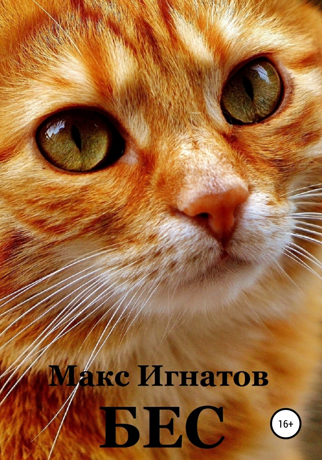 Обложка книги «Бес»