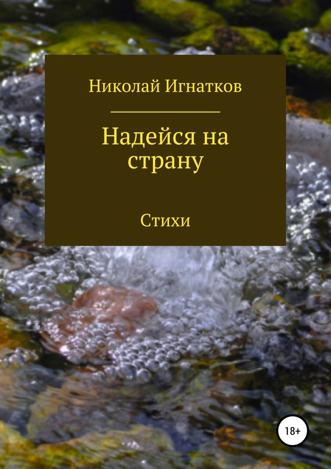 Обложка книги «Надейся на страну. Сборник стихотворений»