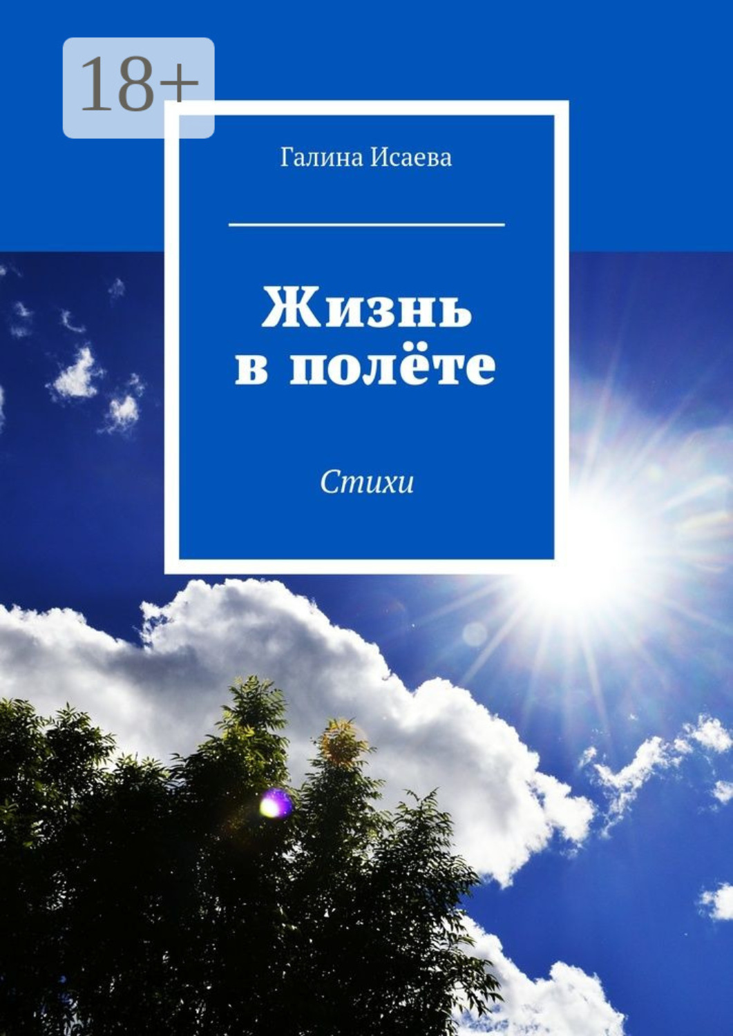 Обложка книги «Жизнь в полёте. Стихи»