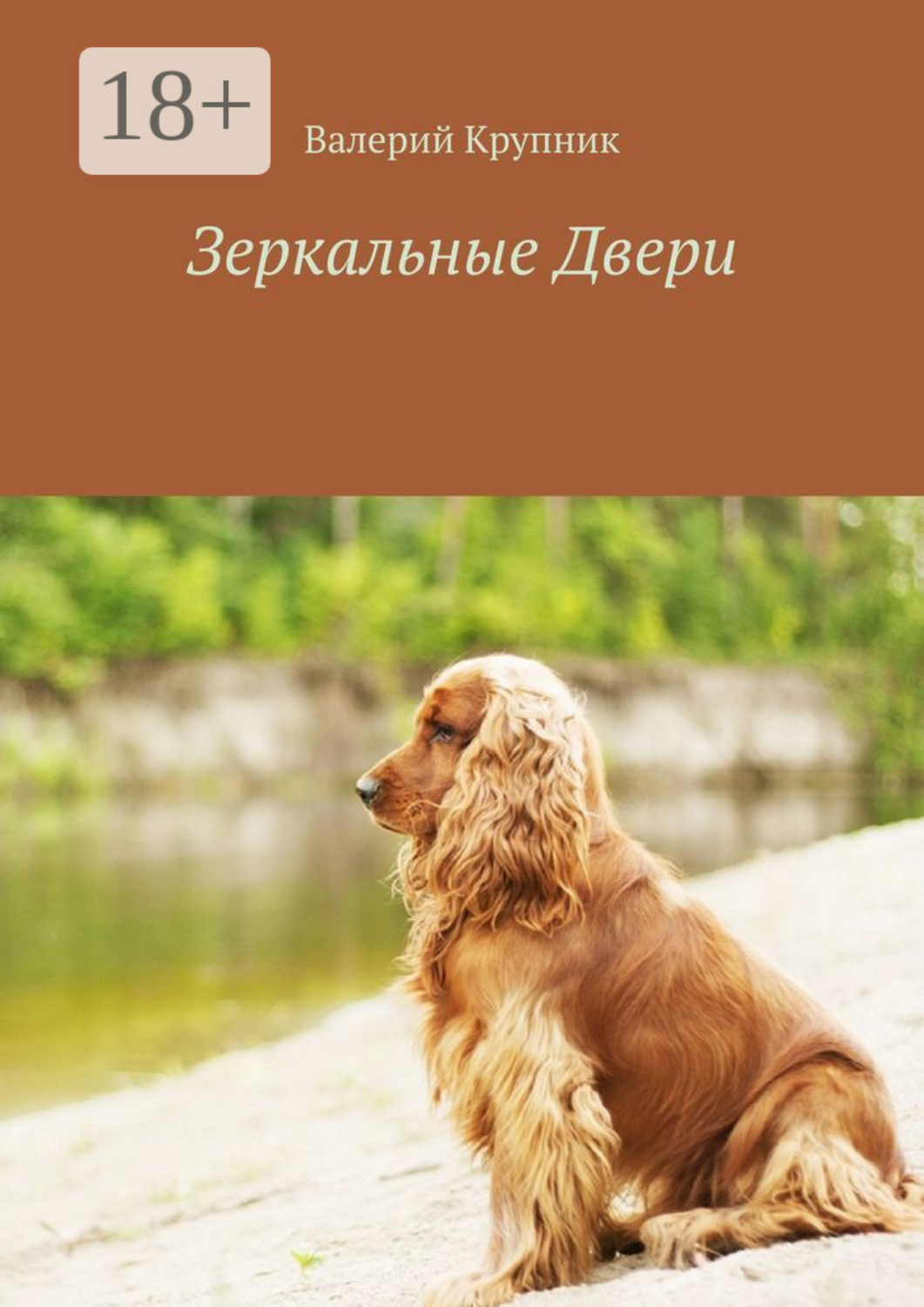 Обложка книги «Зеркальные Двери»