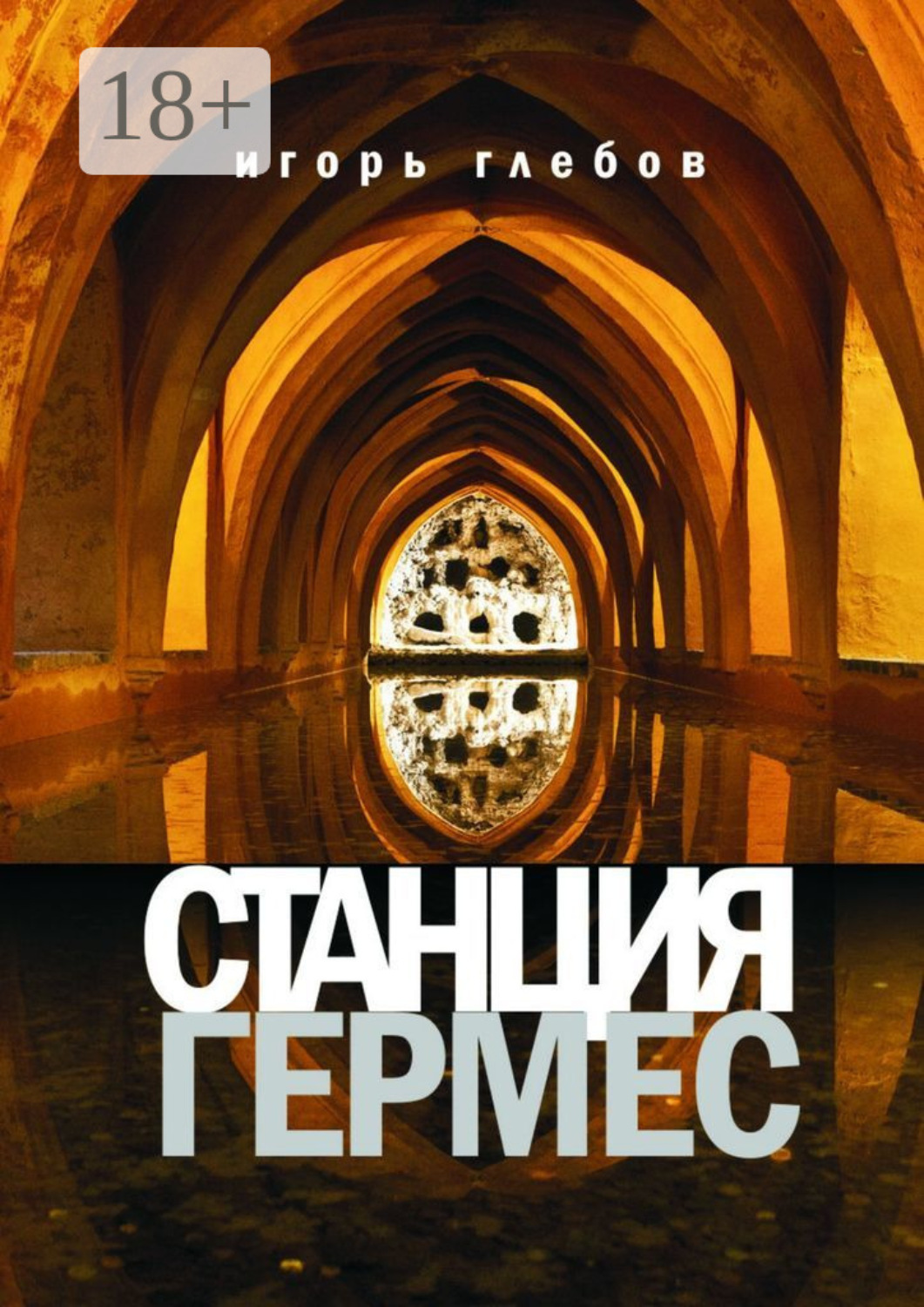 Обложка книги «Станция «Гермес»»