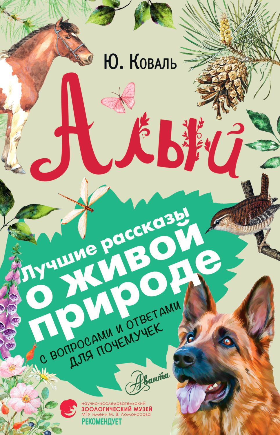 Обложка книги «Алый. С вопросами и ответами для почемучек»