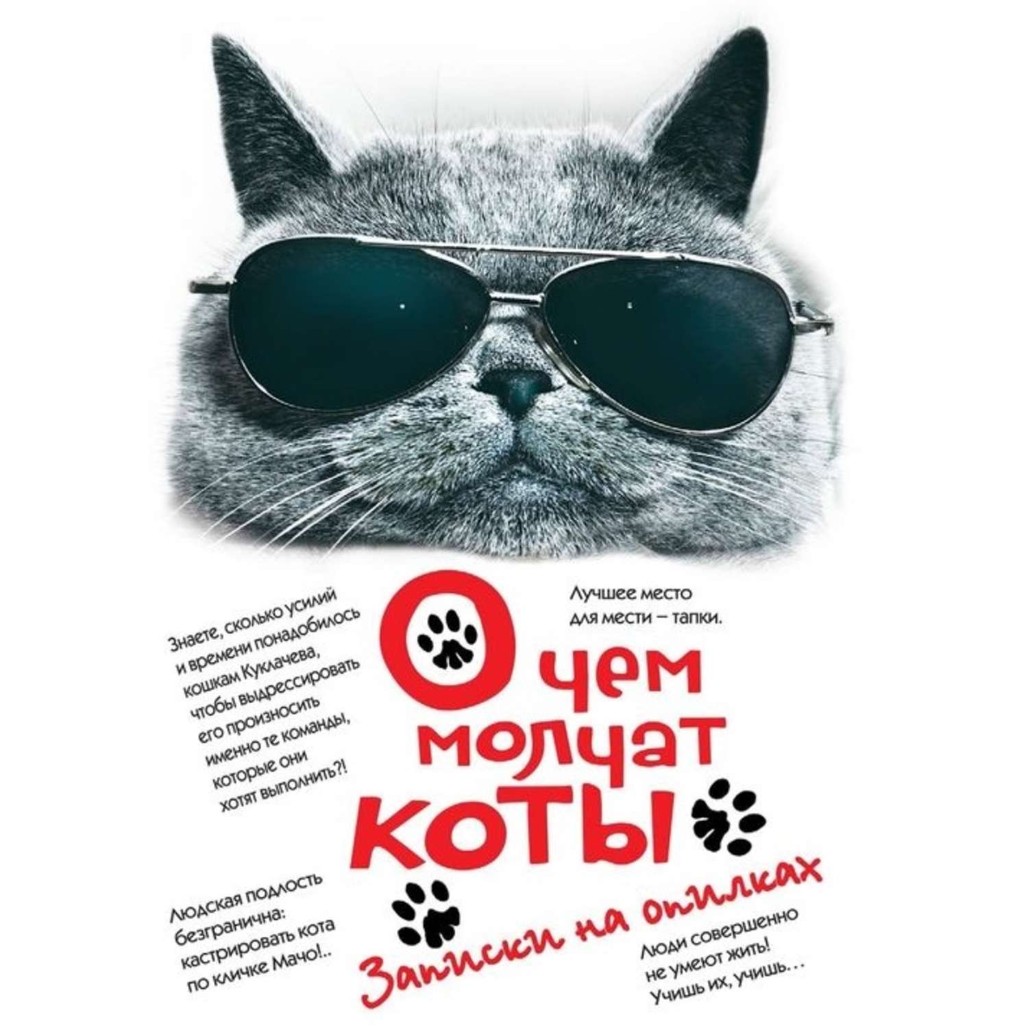 Обложка книги «О чем молчат коты. Записки на опилках»