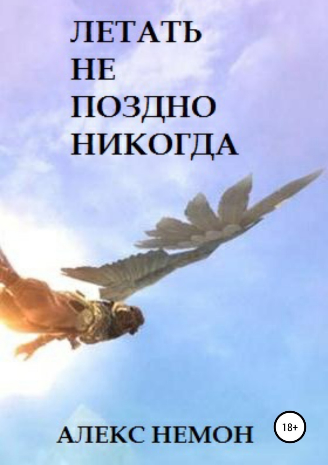 Обложка книги «Летать не поздно никогда»