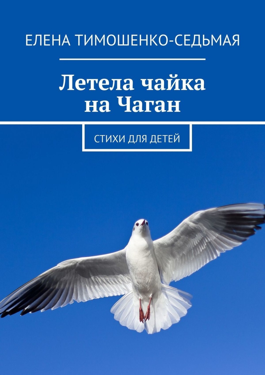 Обложка книги «Летела чайка на Чаган. Стихи для детей»