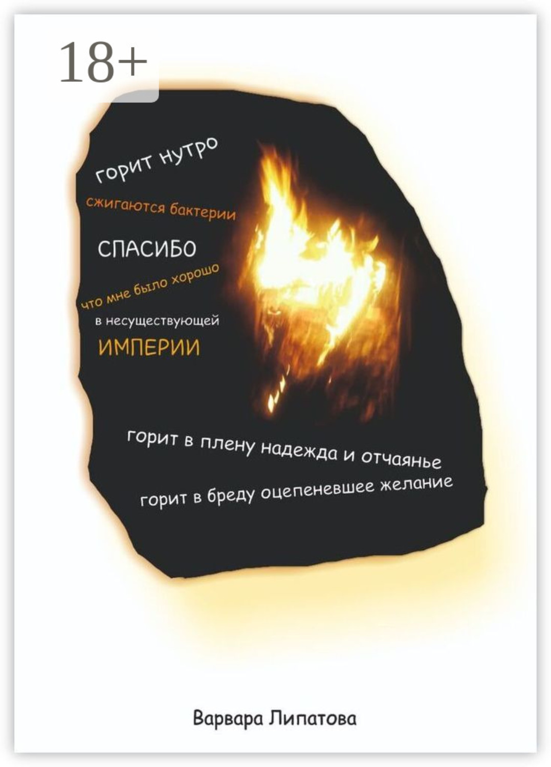 Обложка книги «Горит нутро»