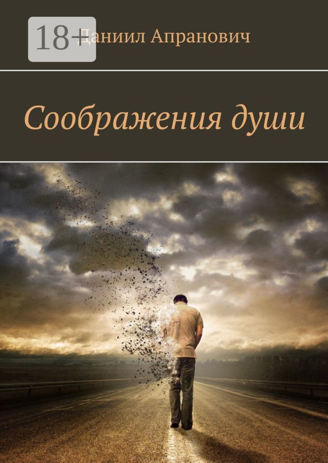 Обложка книги «Соображения души»