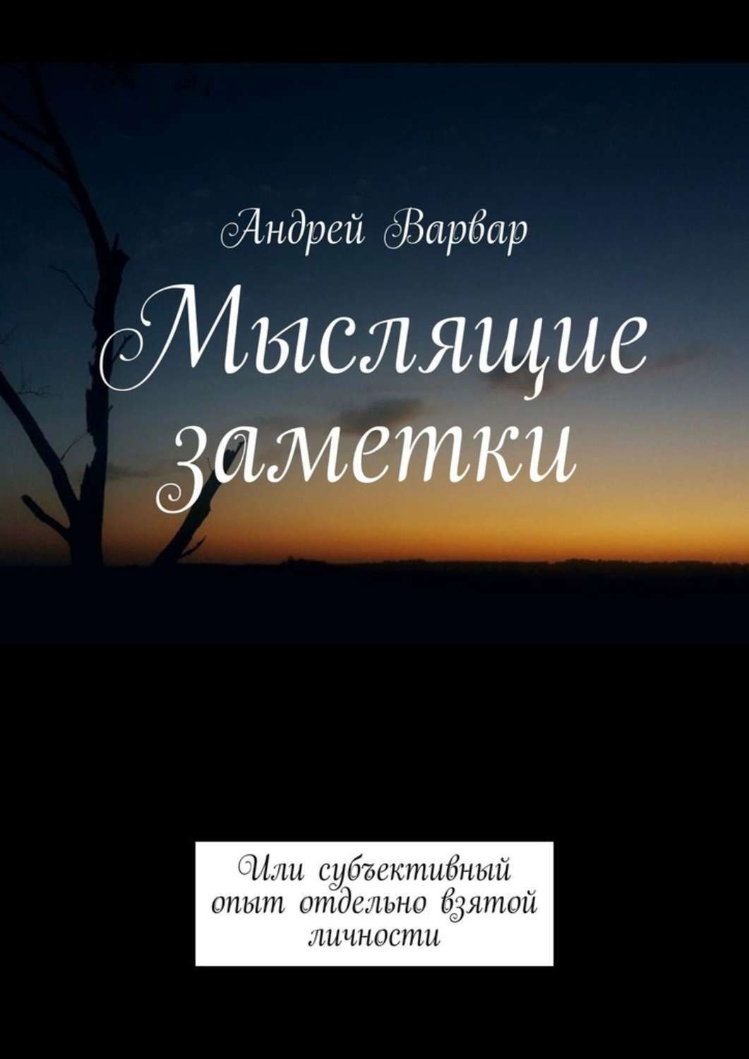 Обложка книги «Мыслящие заметки. Или субъективный опыт отдельно взятой личности»