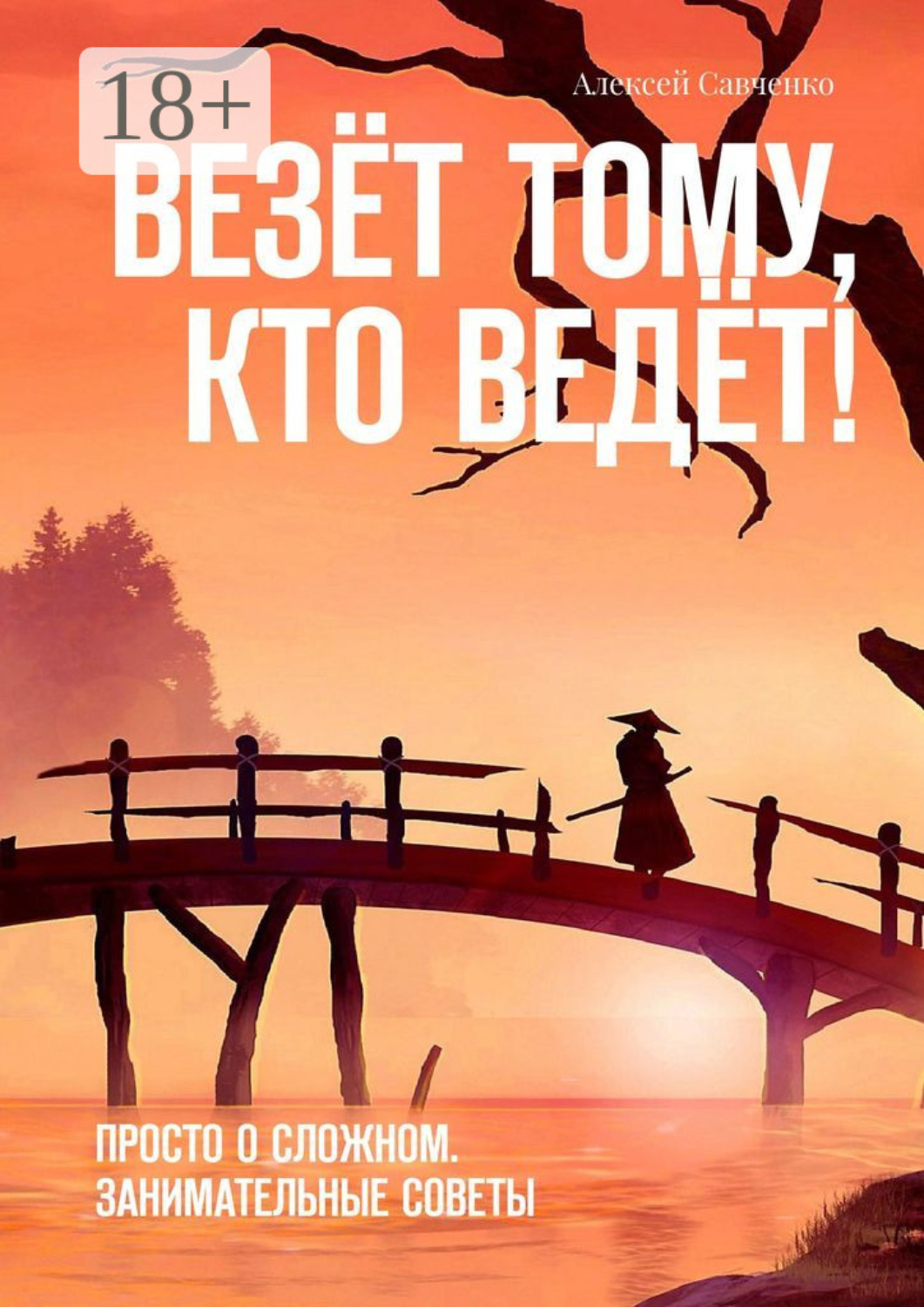 Обложка книги «Везёт тому, кто ведёт! Просто о сложном. Занимательные советы»