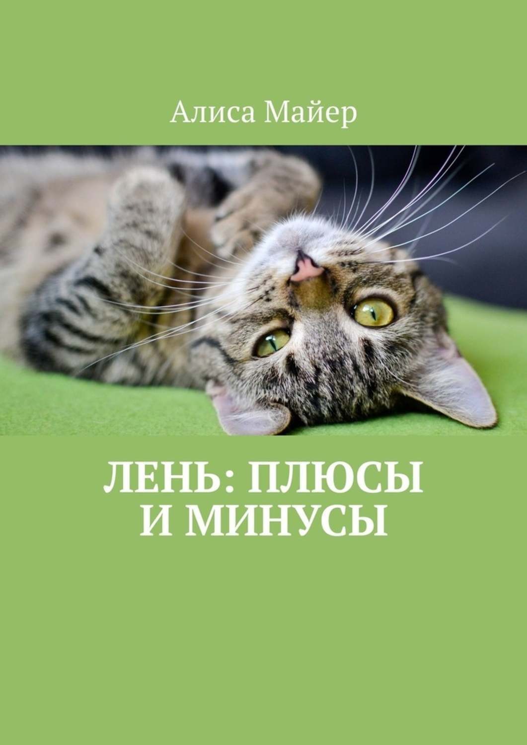 Обложка книги «Лень: плюсы и минусы»