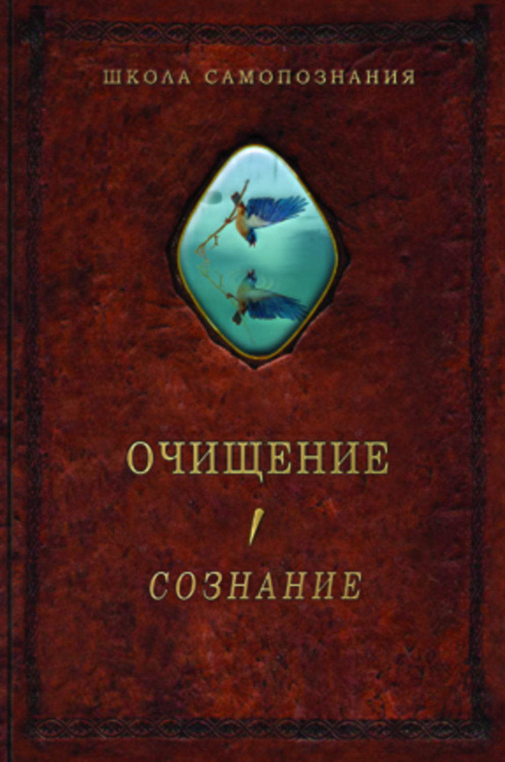 Обложка книги «Очищение. Том 1. Организм. Психика. Тело. Сознание»