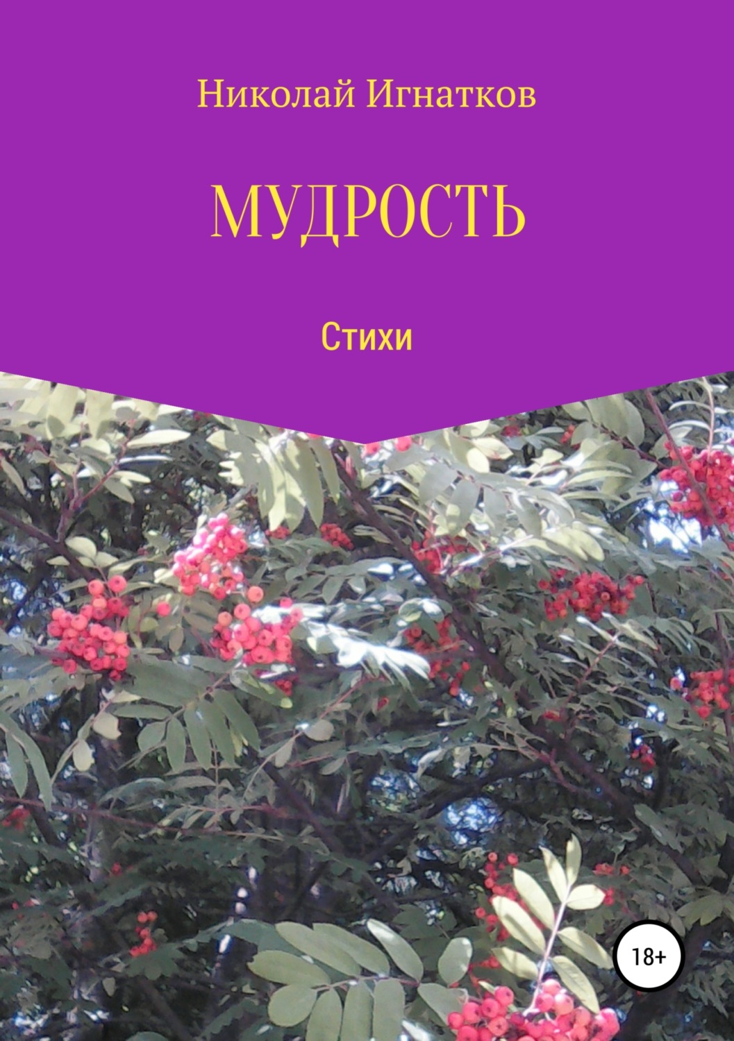 Обложка книги «Мудрость. Сборник стихотворений»