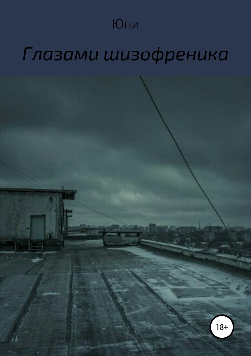 Обложка книги «Глазами шизофреника»