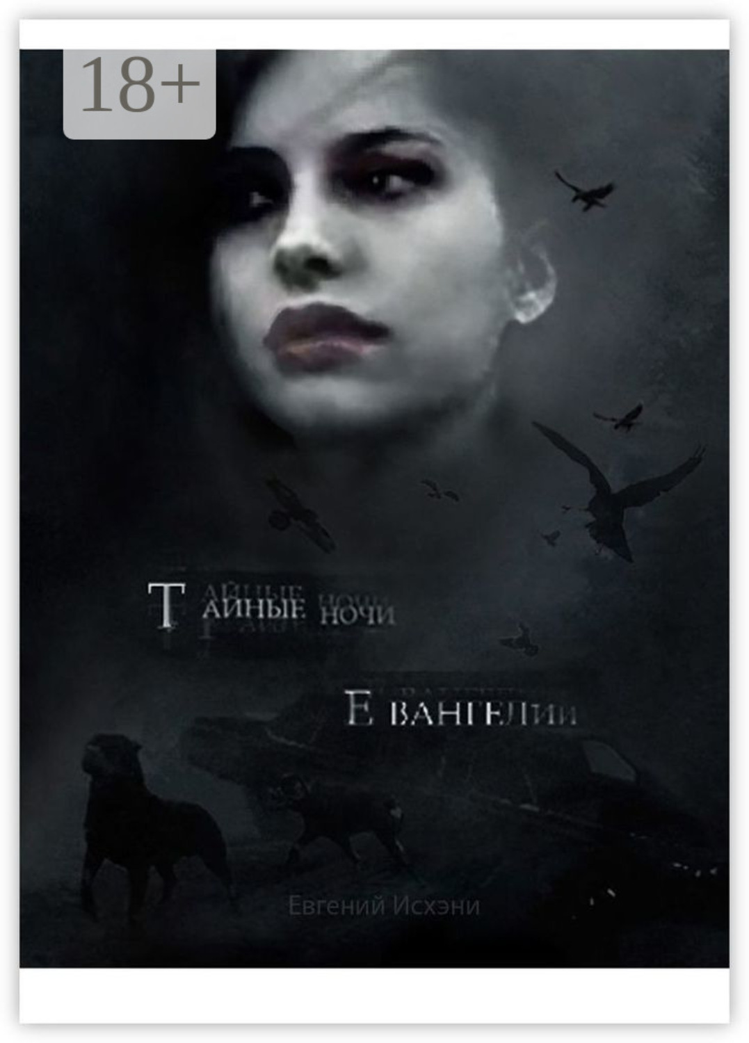 Обложка книги «Тайные ночи Евангелии»