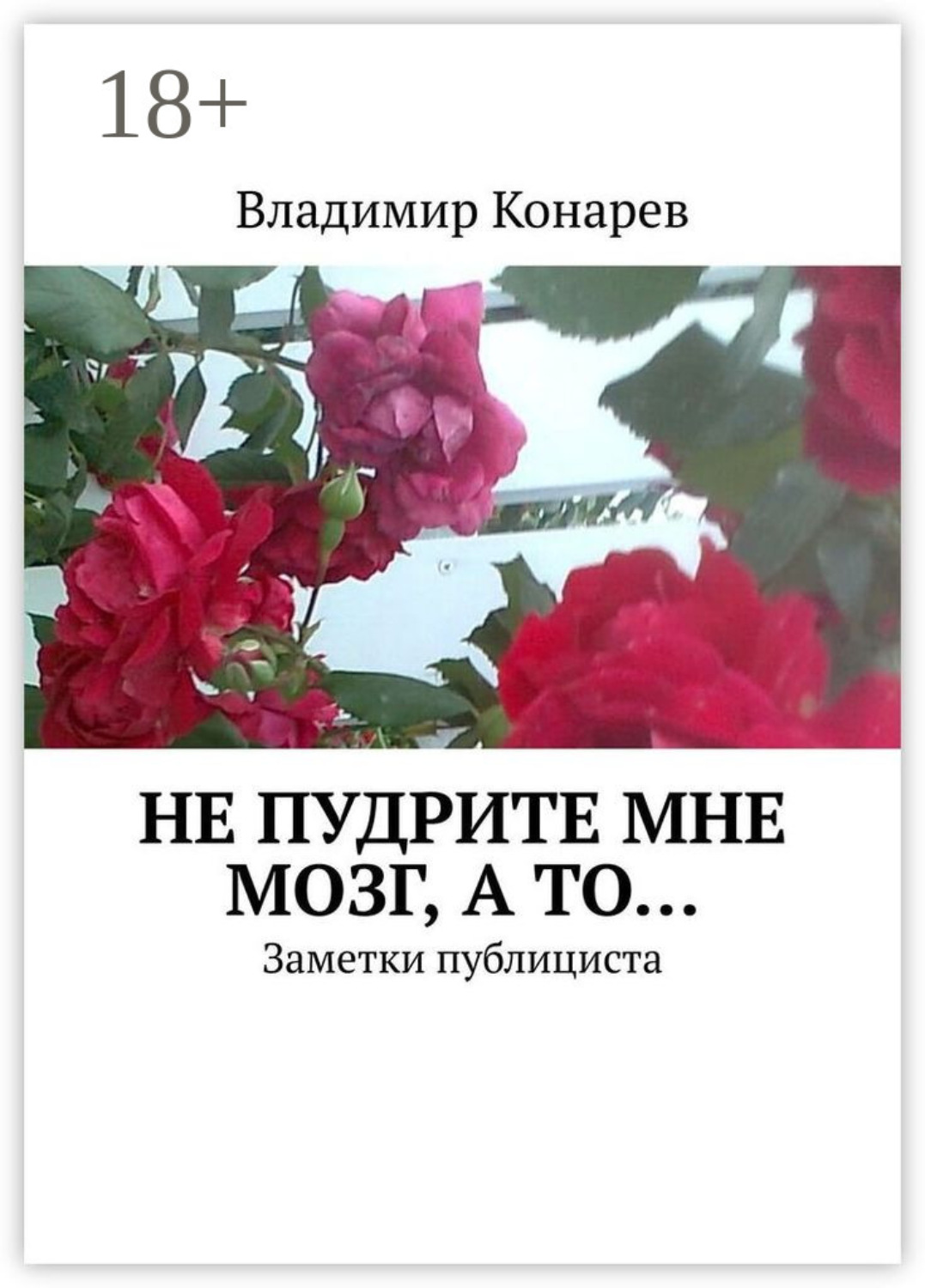 Обложка книги «Не пудрите мне мозг, а то… Заметки публициста»