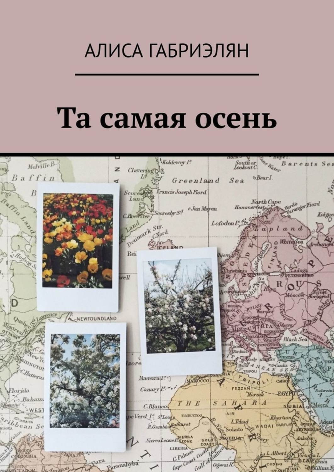 Обложка книги «Та самая осень»