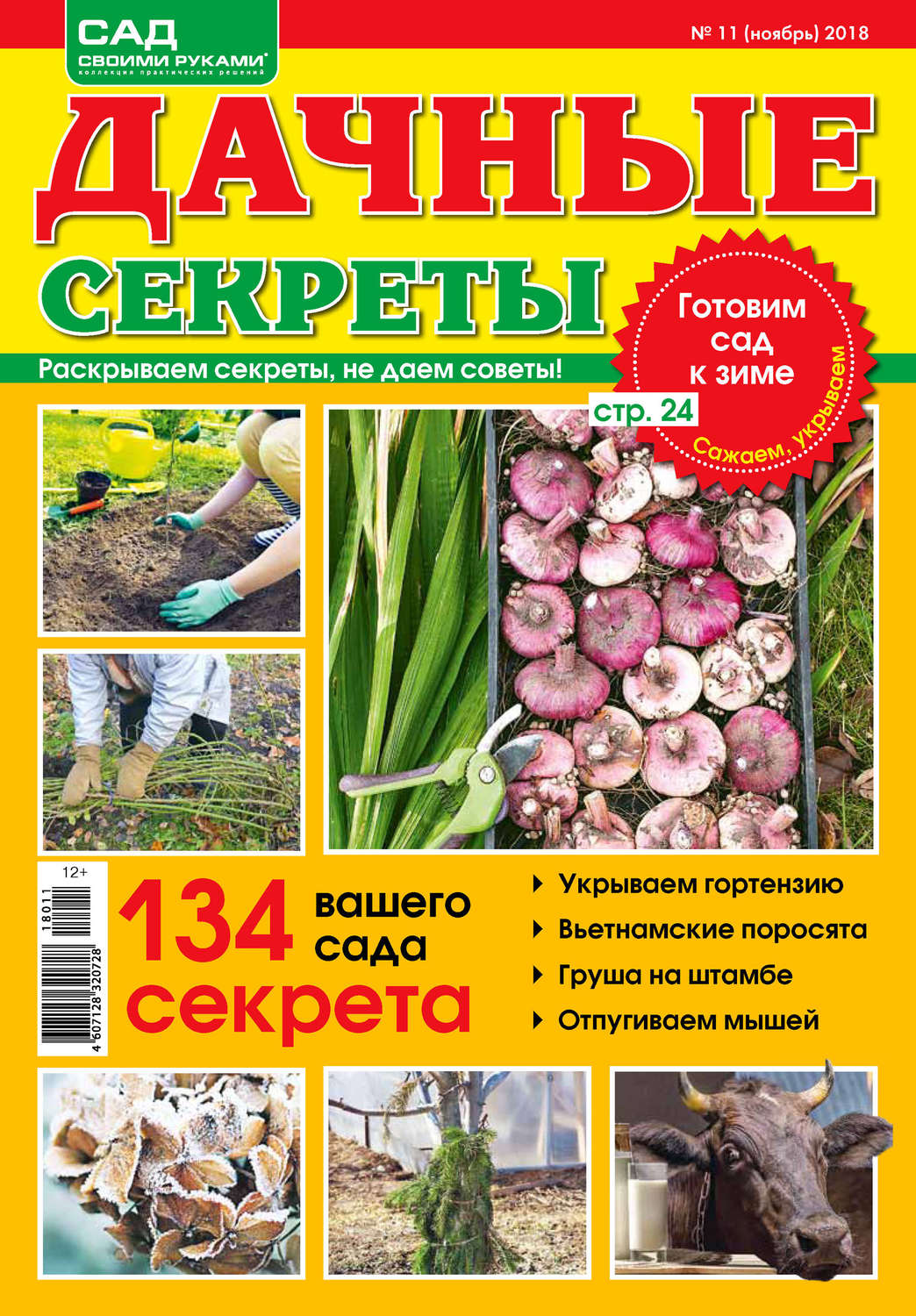 Обложка книги «Сад своими руками. Дачные секреты №11/2018»