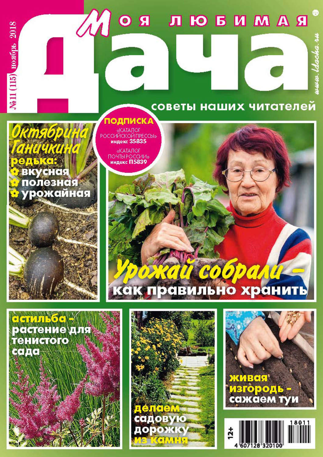 Обложка книги «Моя любимая дача №11/2018»