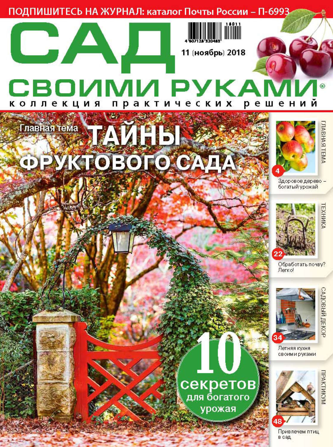 Обложка книги «Сад своими руками №11/2018»