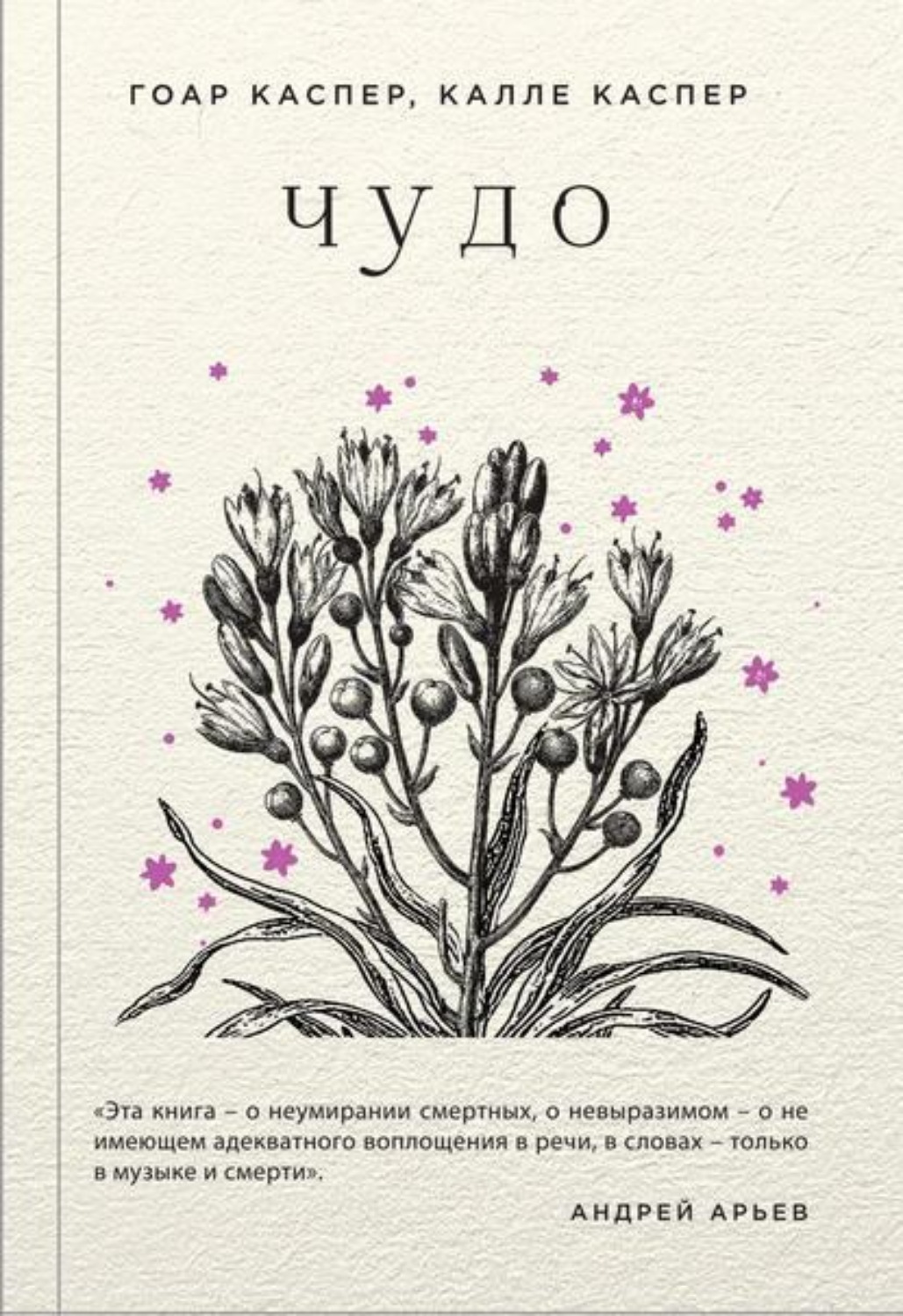 Обложка книги «Чудо»