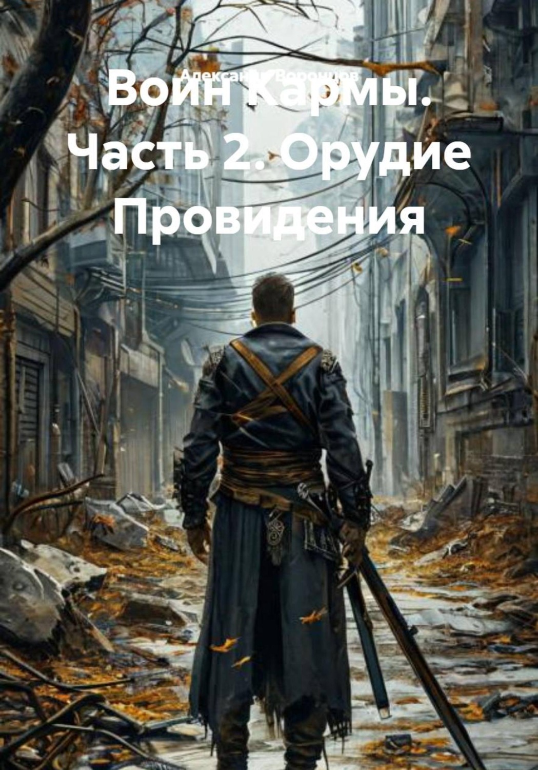 Обложка книги «Воин Кармы. Часть 2. Орудие Провидения»