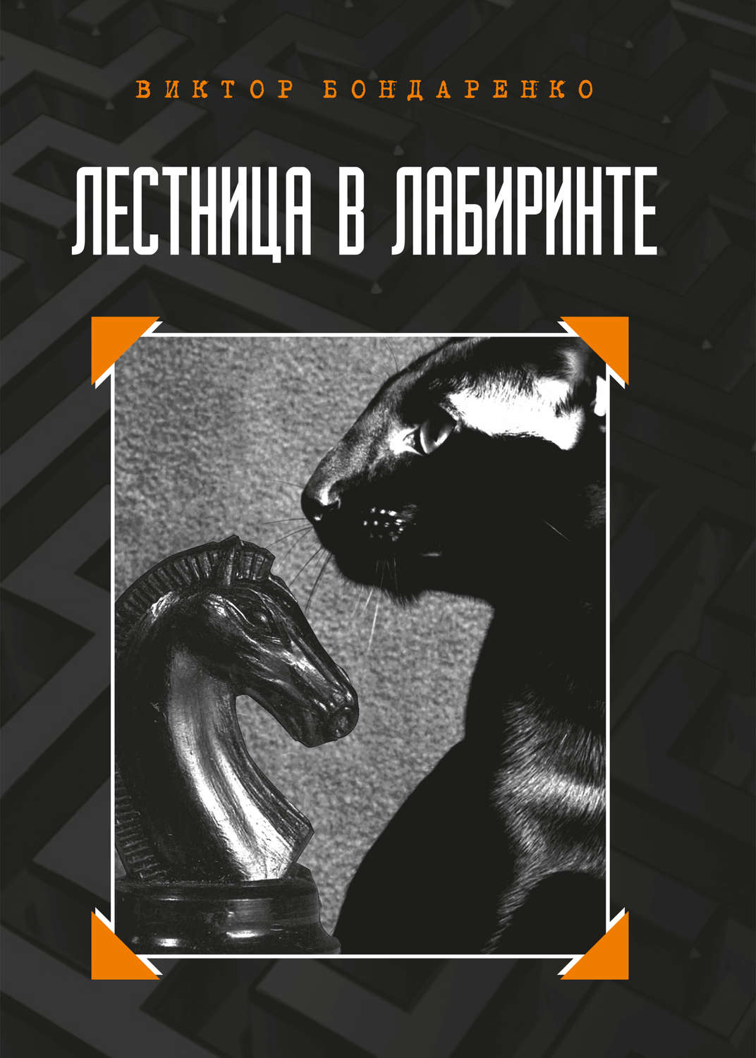 Обложка книги «Лестница в лабиринте»