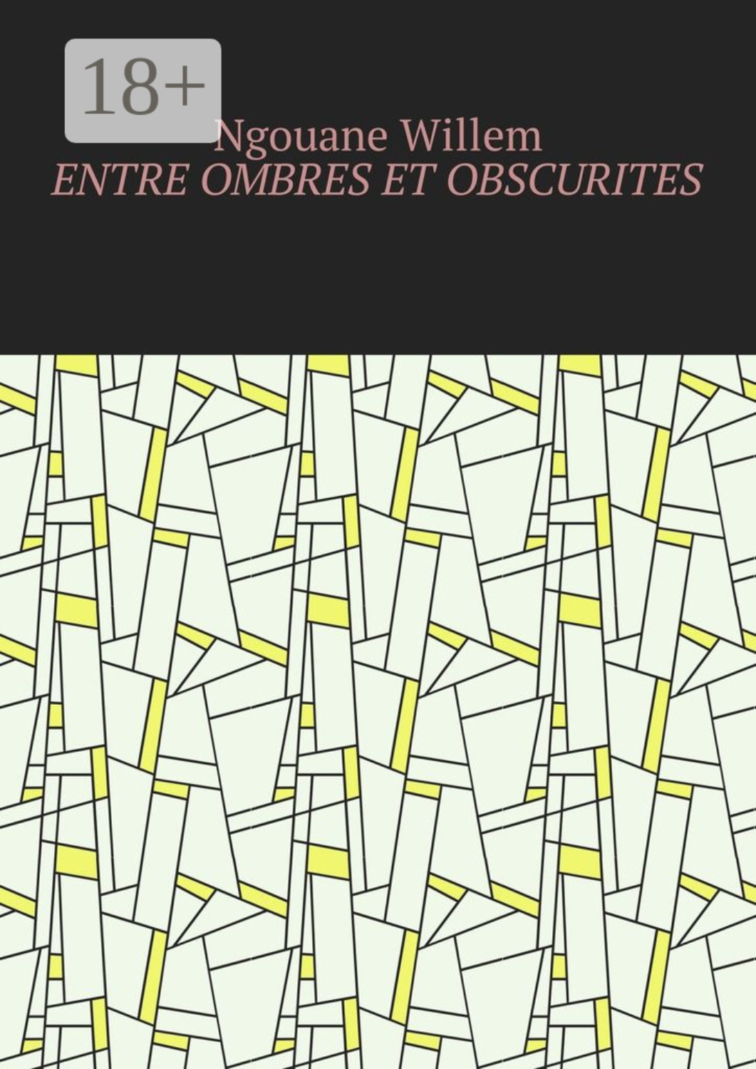 Обложка книги «Entre ombres et obscurités»