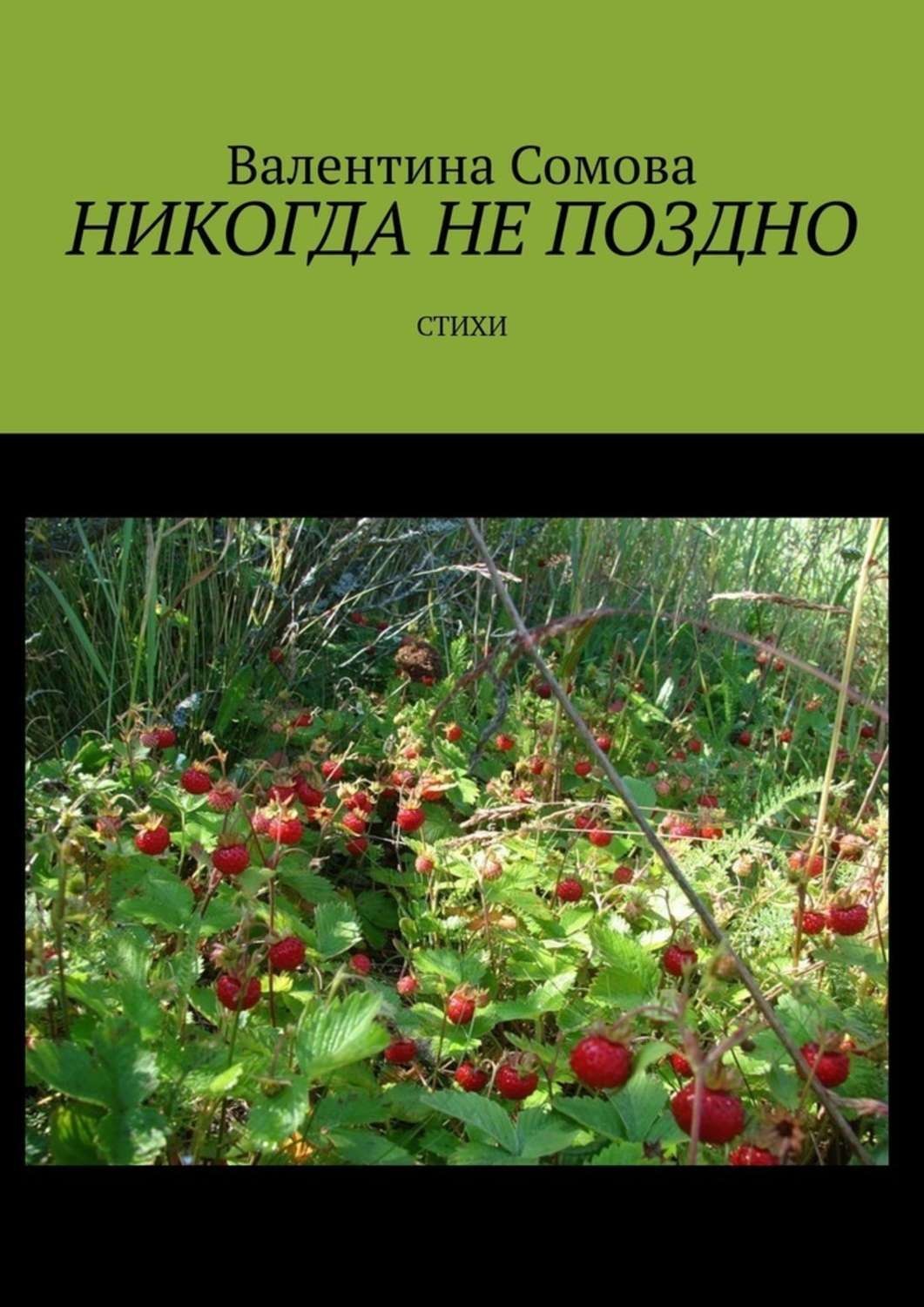 Обложка книги «Никогда не поздно. Стихи»
