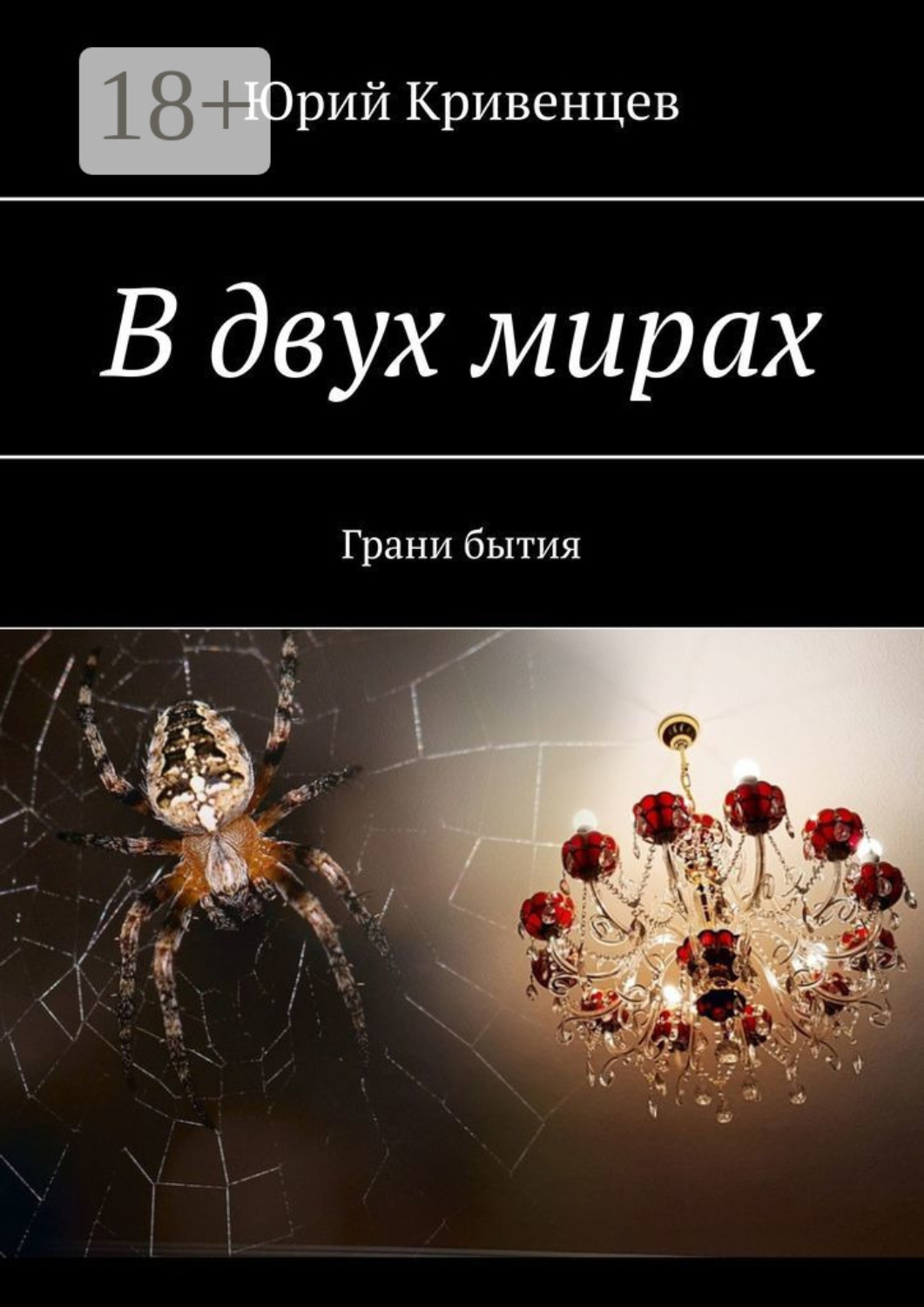 Обложка книги «В двух мирах. Грани бытия»
