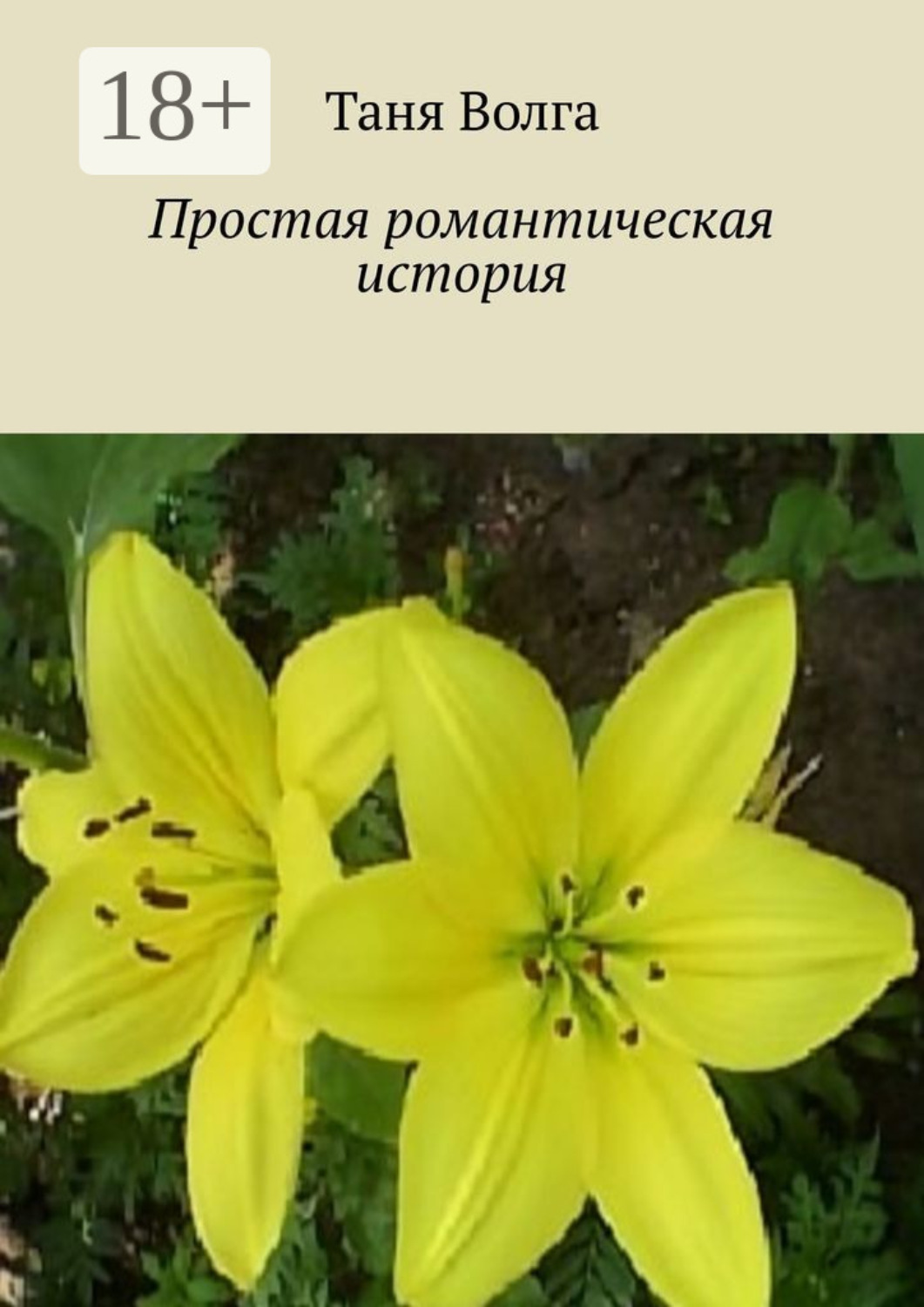 Обложка книги «Простая романтическая история»