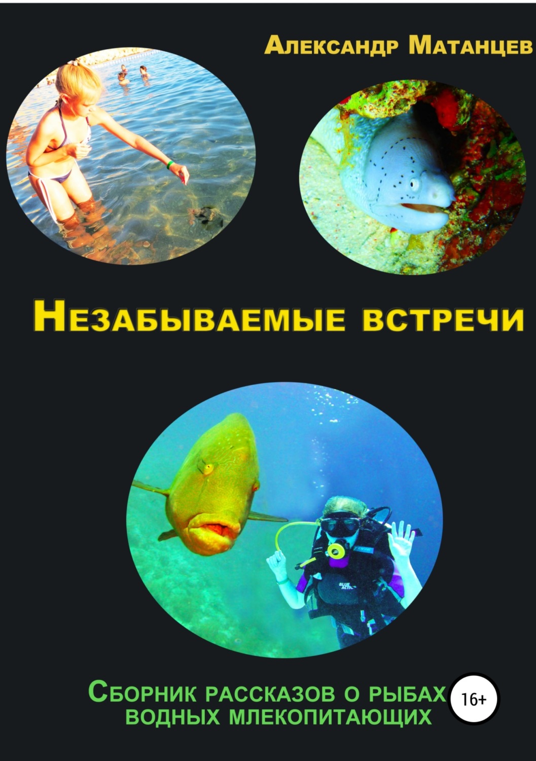 Обложка книги «Незабываемые встречи. Сборник рассказов о рыбах и водных млекопитающих»